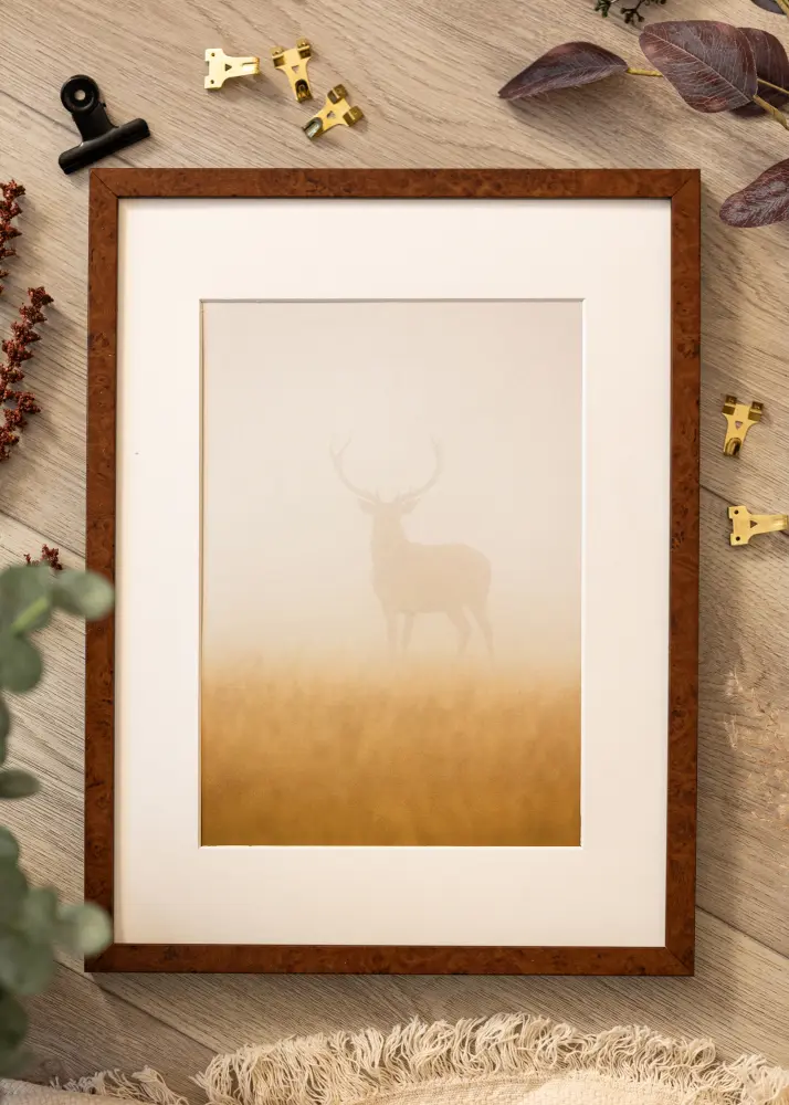 Ram Ares Akrylglas Burr Walnut 21x29,7 cm (A4)