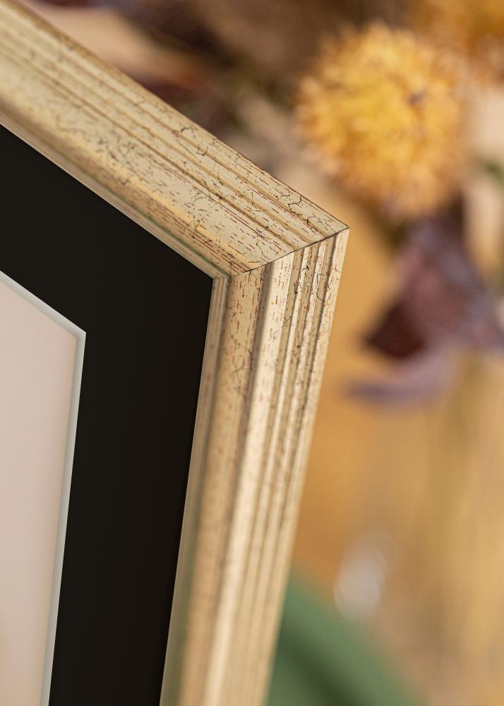 Ram Västkusten Silver 70x100 cm - Passepartout Svart 62x93 cm