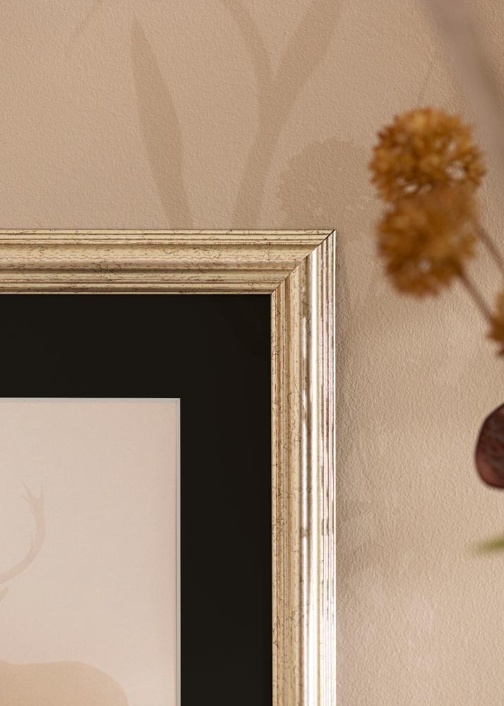 Ram Västkusten Silver 70x100 cm - Passepartout Svart 62x93 cm