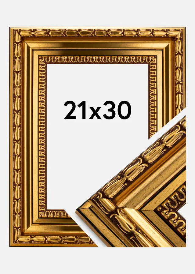 Ram Birka Premium Guld 21x30 cm
