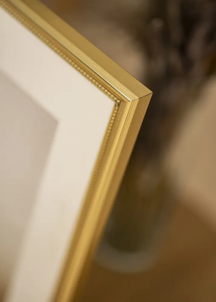 Ram Gala Guld 30x40 cm - Passepartout Vit 21x29,7 cm (A4)