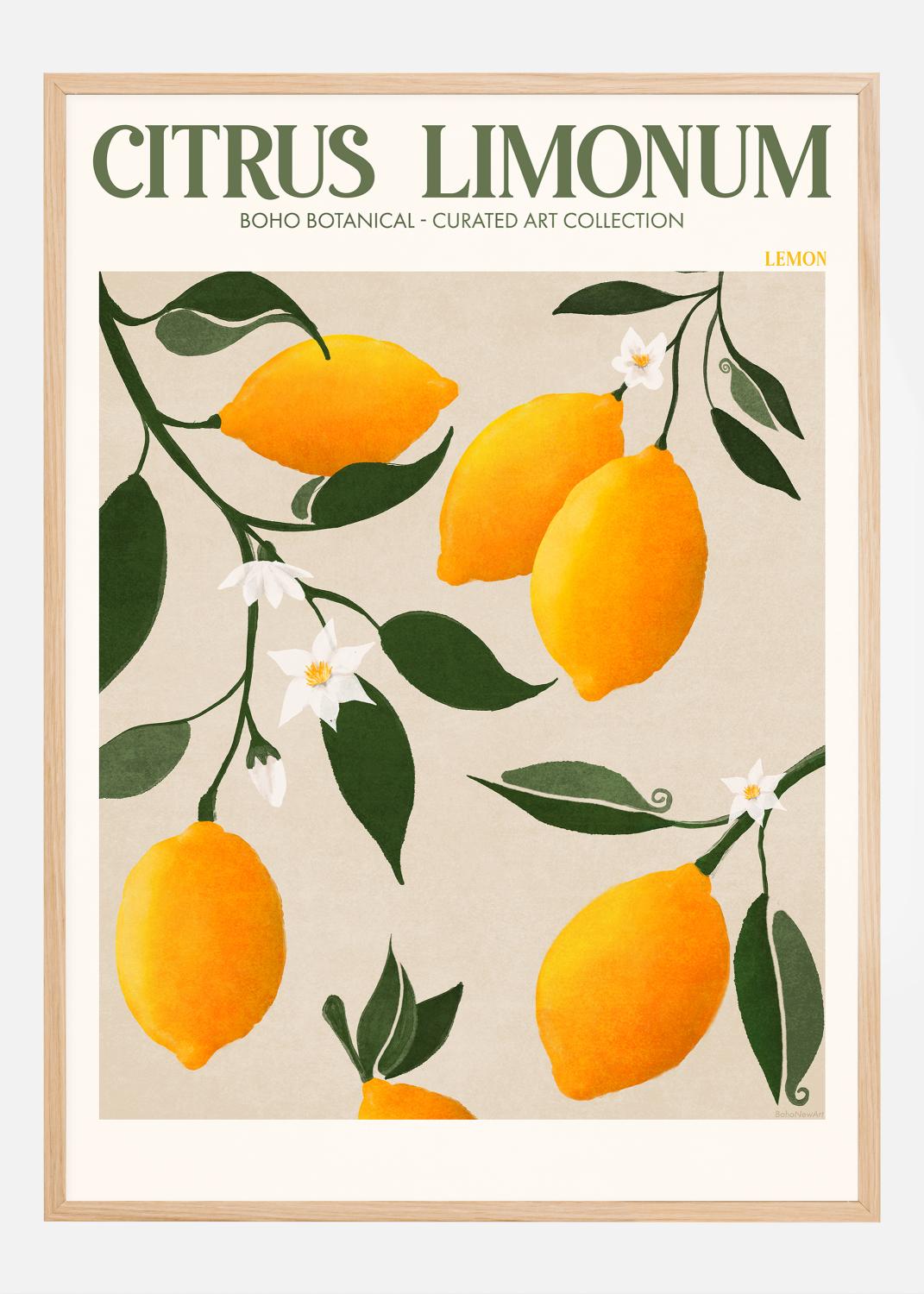 Boho Citrus Limonum Poster (21x29.7 cm (A4))