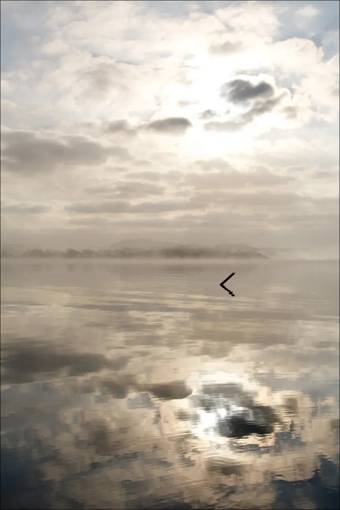 Morning fog Poster