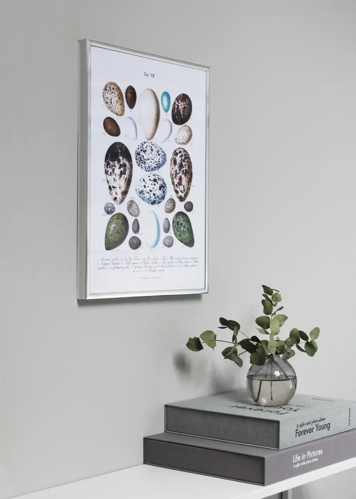 Ram Poster Frame Aluminum Silver 70x100 cm - Passepartout Svart 59,4x84 cm (A1)