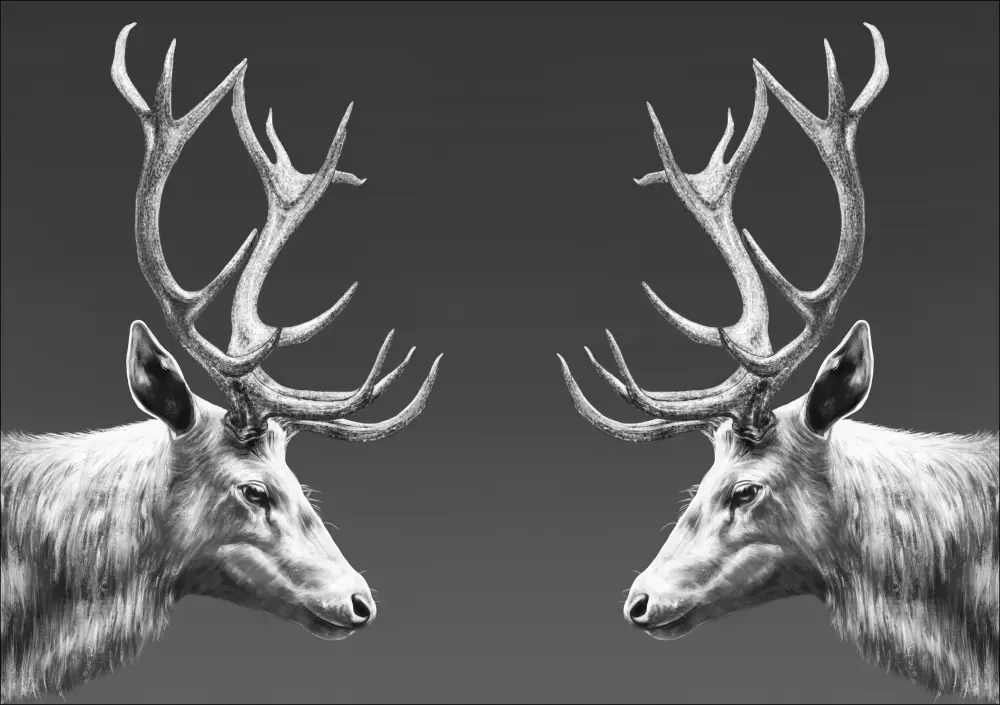 REINDEER DOUBLE Poster