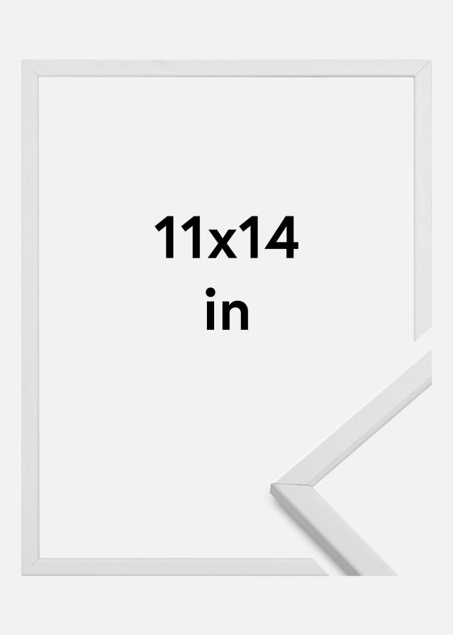 Ram Galant Vit 11x14 Inches (27,94x35,56 cm)