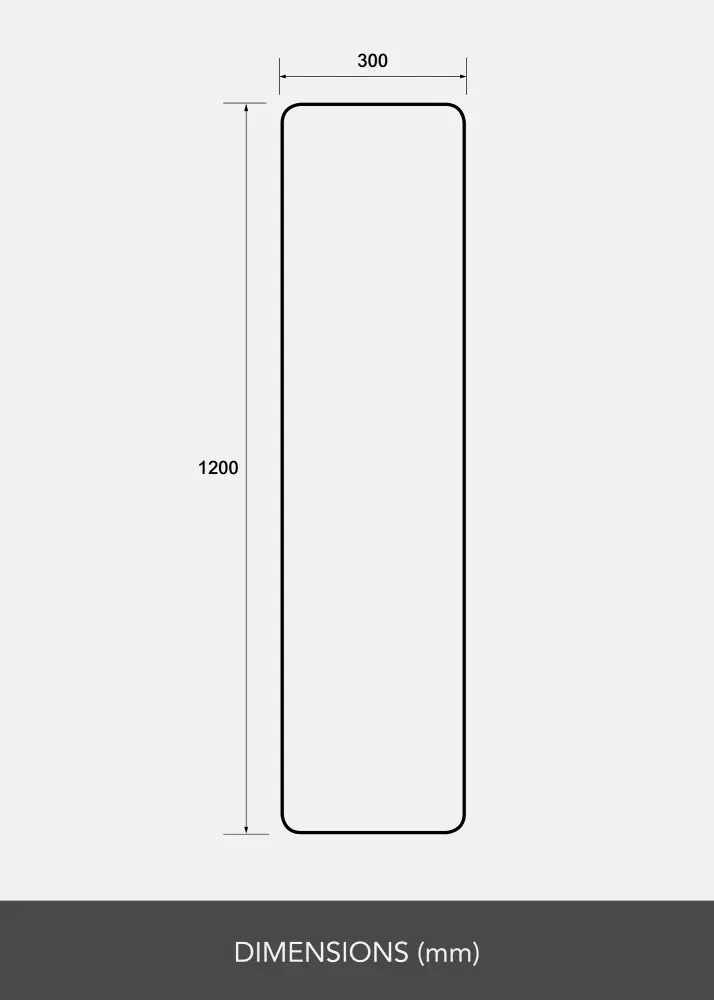 Spegel Rectangle L 30x120 cm