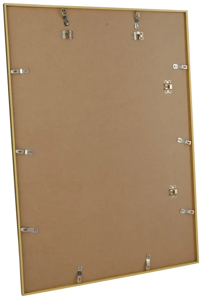 Ram Decoline Akrylglas Guld 60x80 cm
