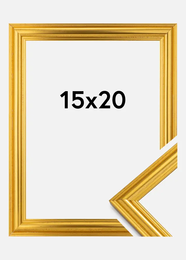 Ram Frigg Guld 15x20 cm