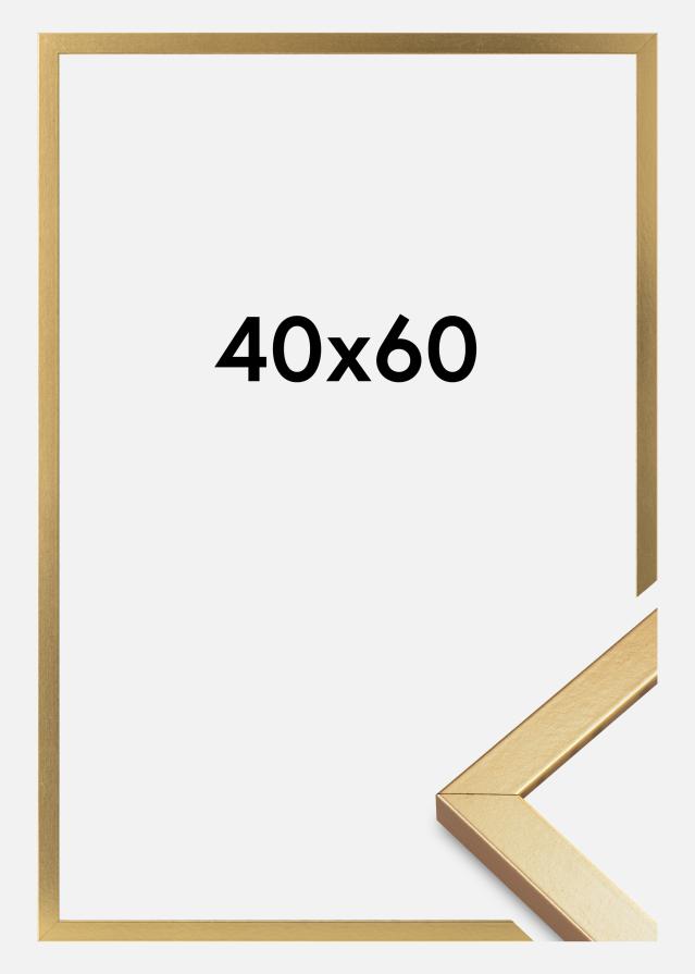 Ram Minerva Akrylglas Guld 40x60 cm