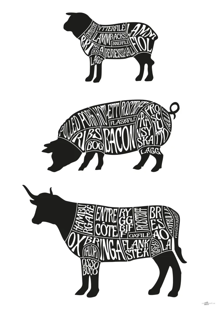 Styckschema Lamm Gris & Ko 50x70 cm Poster
