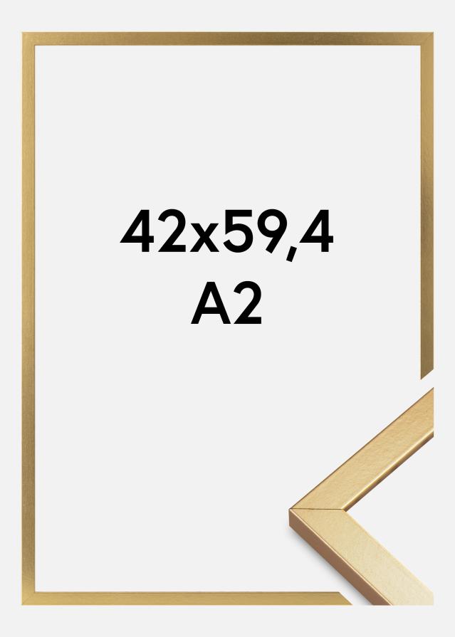 Ram Minerva Akrylglas Guld 42x59,4 cm (A2)