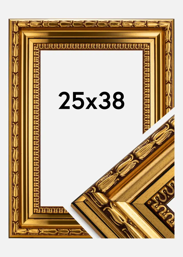 Ram Birka Premium Guld 25x38 cm