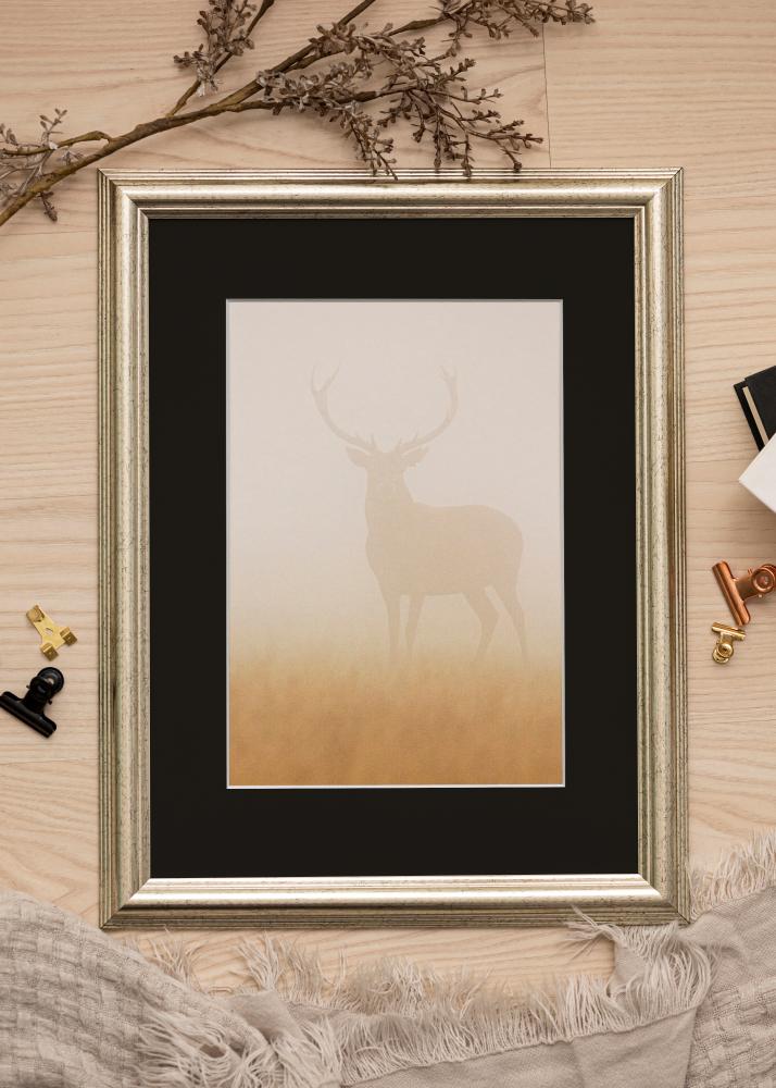 Ram Västkusten Silver 70x100 cm - Passepartout Svart 62x93 cm