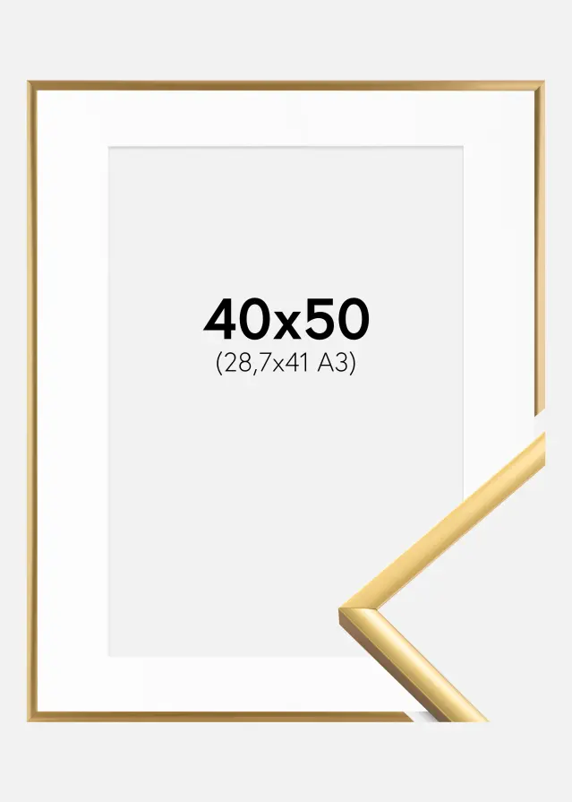 Ram New Lifestyle Shiny Gold 40x50 cm - Passepartout Vit 29,7x42 cm (A3)