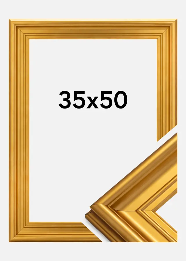 Ram Mora Premium Guld 35x50 cm