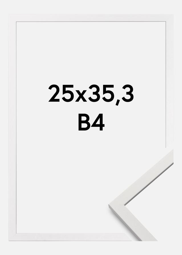 Ram Edsbyn Akrylglas Vit B4