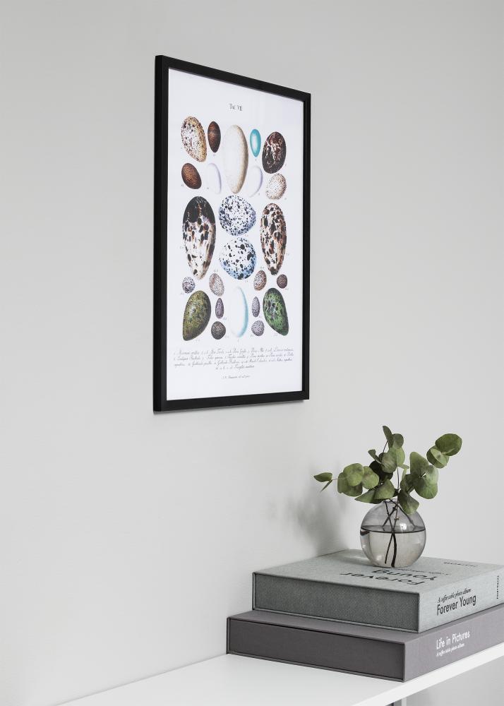 Ram Frame Black 29,7x42 cm (A3) ramar