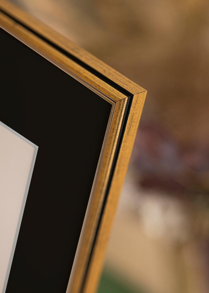 Ram Horndal Guld 35x50 cm - Passepartout Svart 24x30 cm