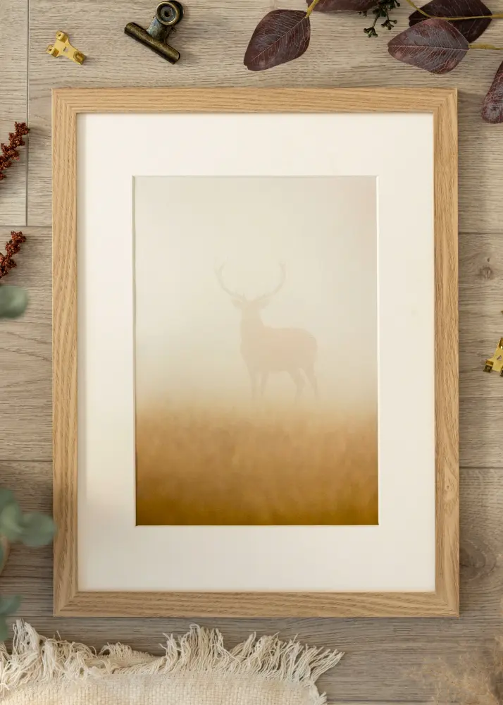 Ram BGA Classic Akrylglas Ek 59,4x84 cm (A1)
