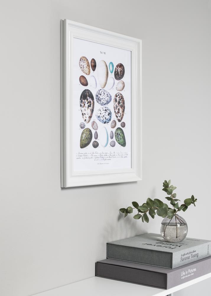 Ram Charleston Vit 50x70 cm