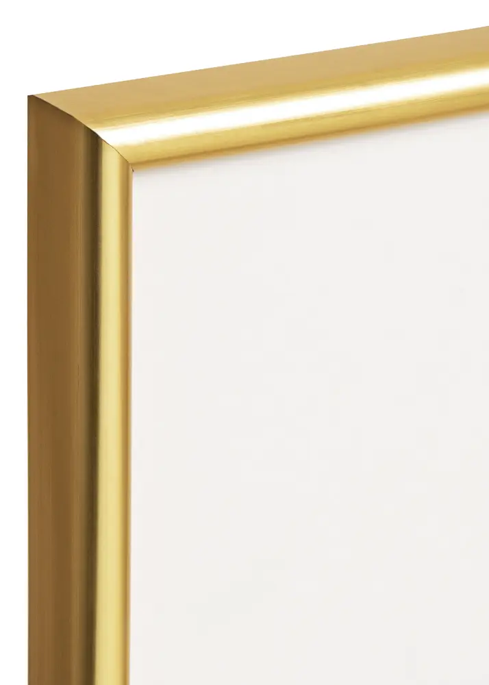 Ram Decoline Akrylglas Guld 60x80 cm