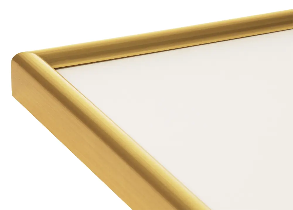Ram Decoline Akrylglas Guld 60x80 cm