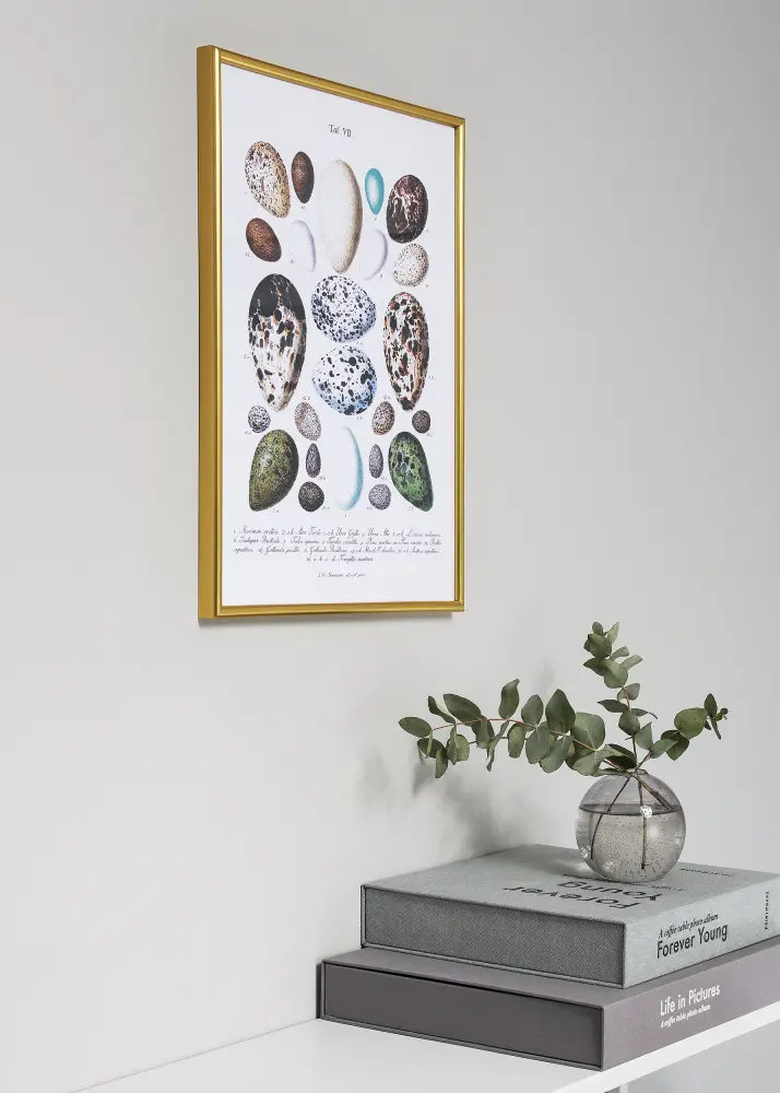 Ram Decoline Akrylglas Guld 60x80 cm