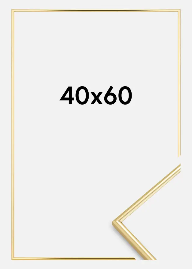 Ram Can-Can Guld 40x60 cm