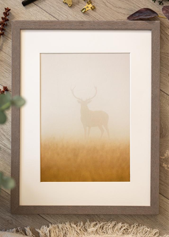 Ram Hermes Akrylglas Grå 60x80 cm