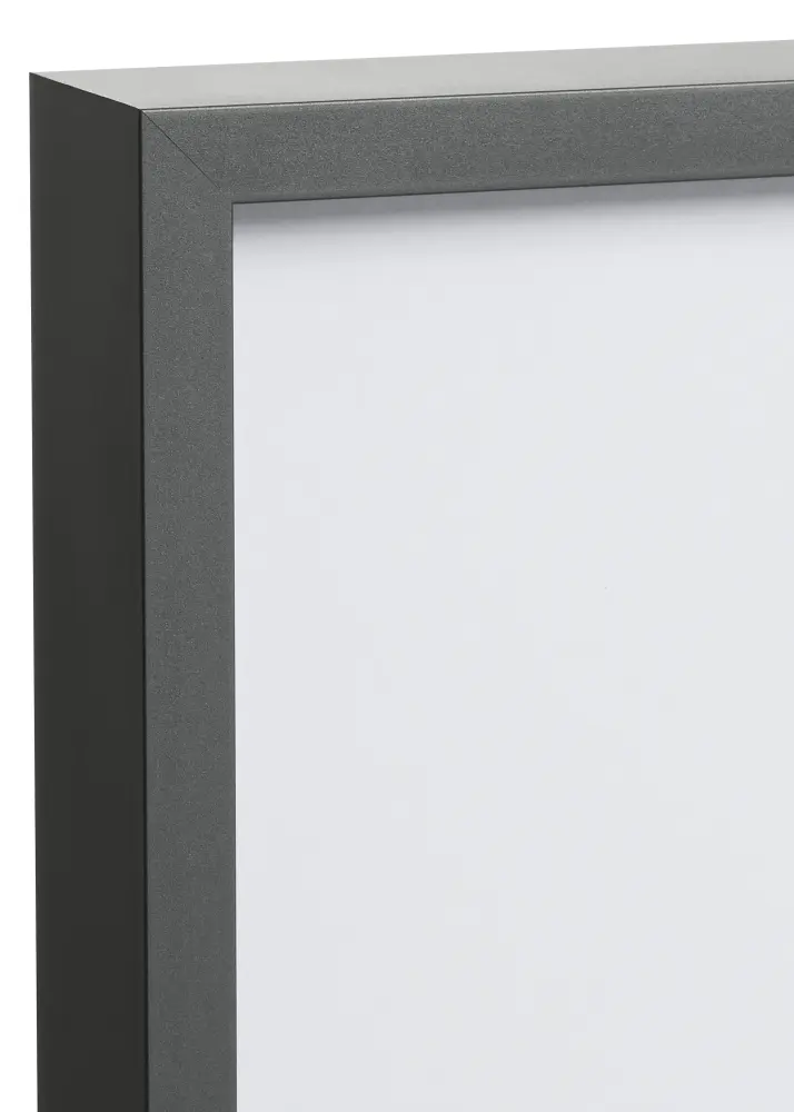 Spegel Nielsen Premium Alpha Blank Platina - Egna Mått