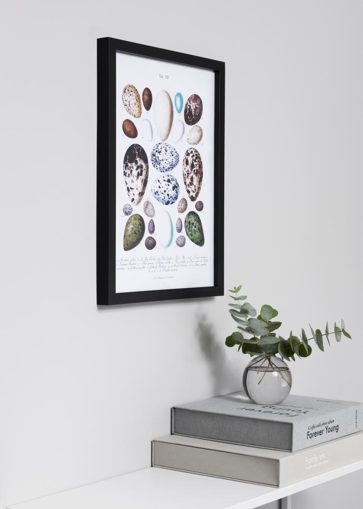 Ram Exklusiv Svart 40x50 cm