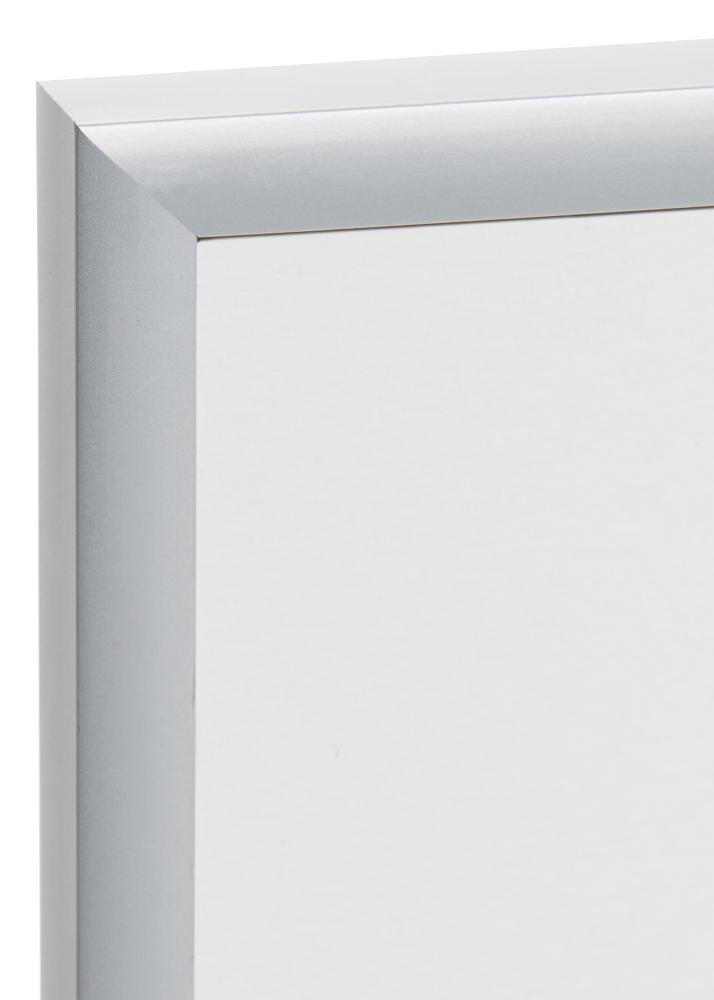 Ram Expo Matt Antireflexglas Silver 20x25 cm