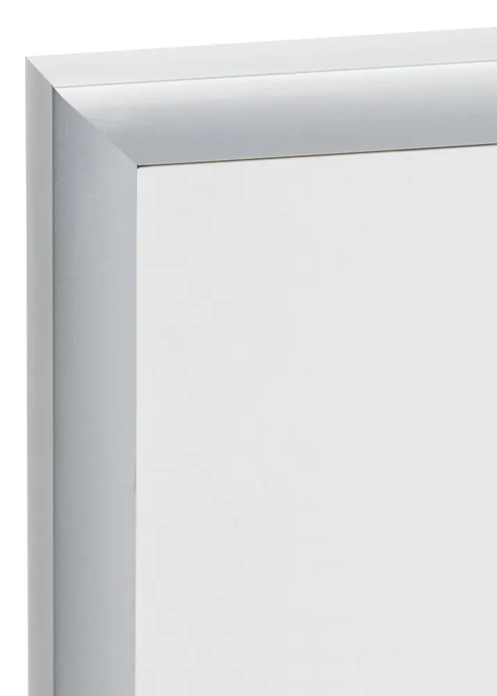 Ram Expo Matt Antireflexglas Silver 10x15 cm