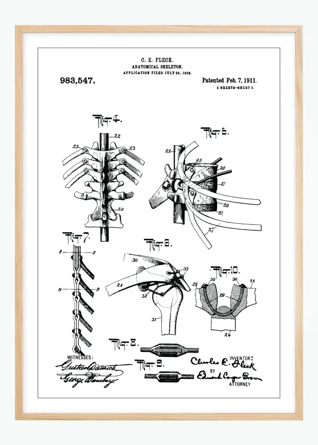Patentritning - Anatomiskt Skelett III Poster