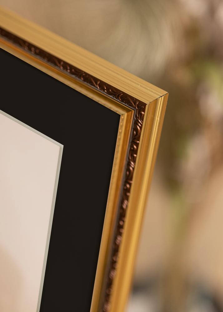 Ram Abisko Guld 30x40 cm - Passepartout Svart 18x27 cm