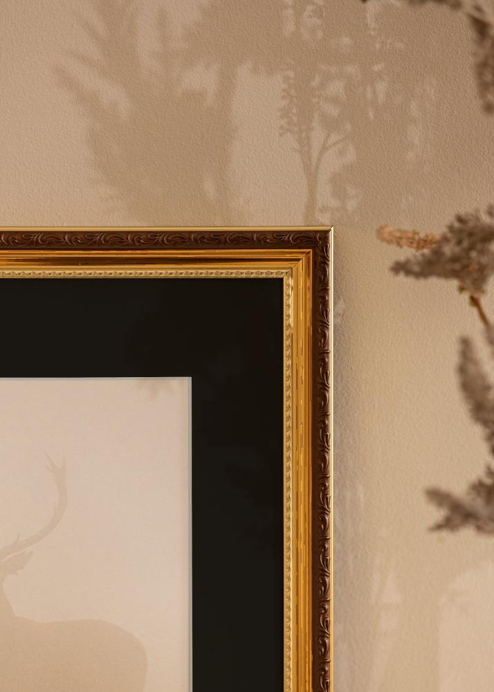 Ram Abisko Guld 30x40 cm - Passepartout Svart 18x27 cm