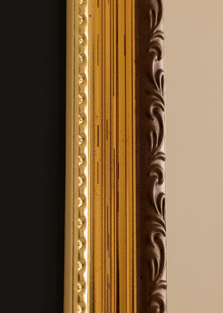 Ram Abisko Guld 30x40 cm - Passepartout Svart 18x27 cm