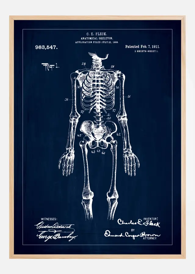 Patentritning - Anatomiskt skelett I - Blå Poster