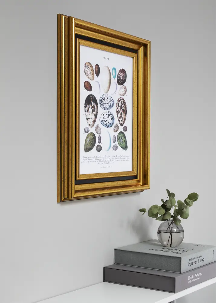 Ram Gysinge Premium Guld 21x29,7 cm (A4)