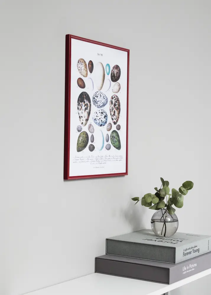 Ram New Lifestyle Röd 42x59,4 cm (A2) - Passepartout Vit 25x38 cm