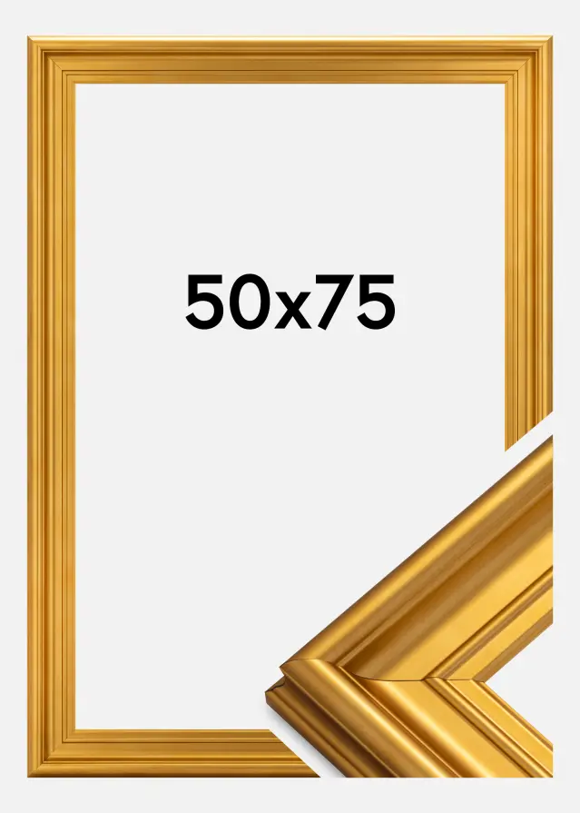 Ram Mora Premium Guld 50x75 cm