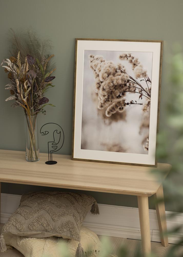 Ram Galant Akrylglas Guld 21x29,7 cm (A4)