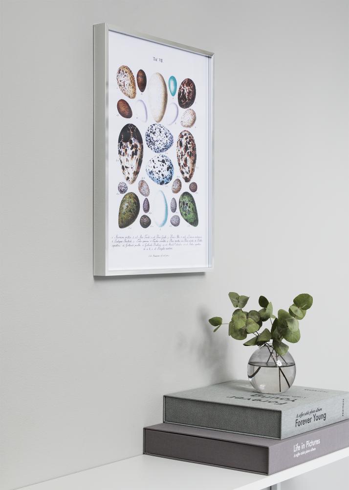 Ram Nielsen Premium Alpha Blank Silver 10x15 cm