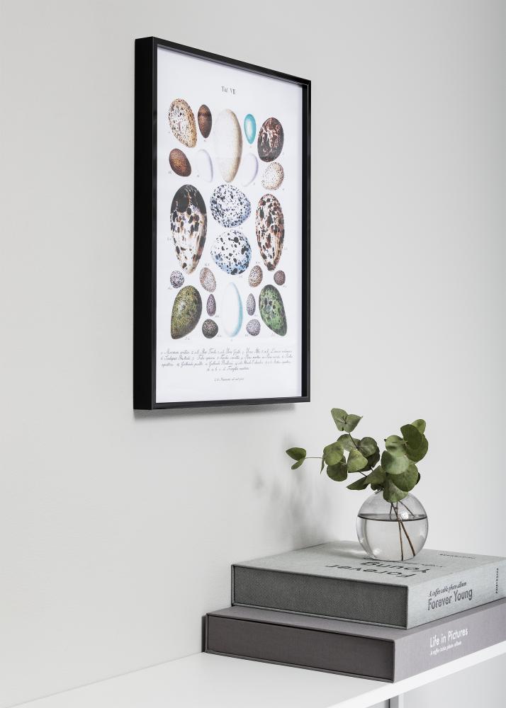 Ram Nielsen Premium Alpha Blank Svart 50x50 cm