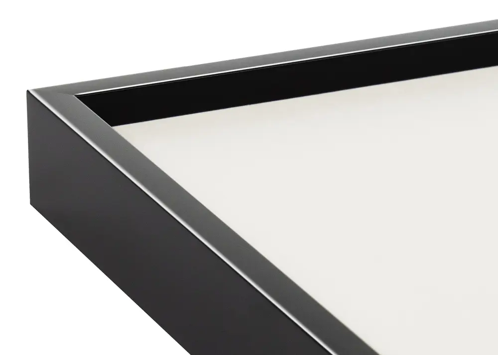 Ram Nielsen Premium Alpha Blank Svart 50x100 cm