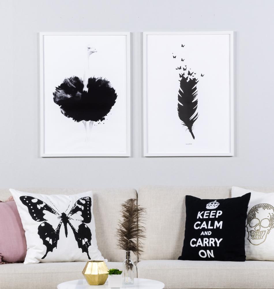 Fjer 1.0 Svartvit Poster