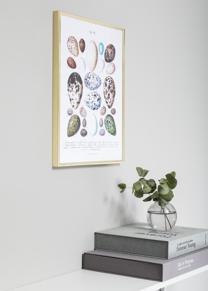 Ram Nielsen Premium Classic Guld 29,7x42 cm (A3)