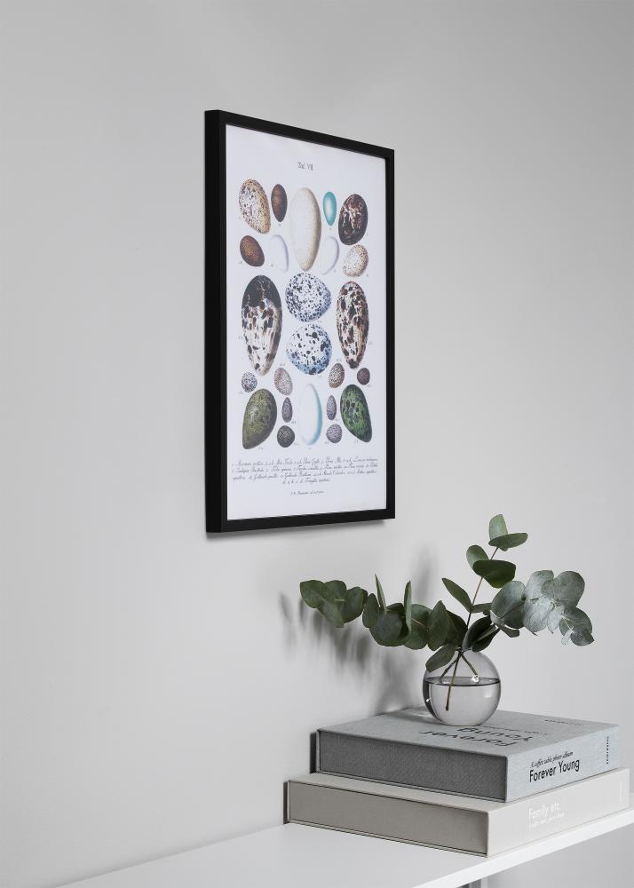 Ram Oslo Akrylglas Svart 50x50 cm