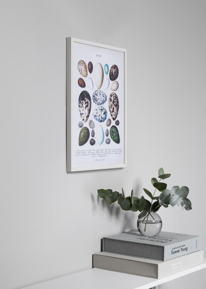 Ram Oslo Akrylglas Vit 50x70 cm